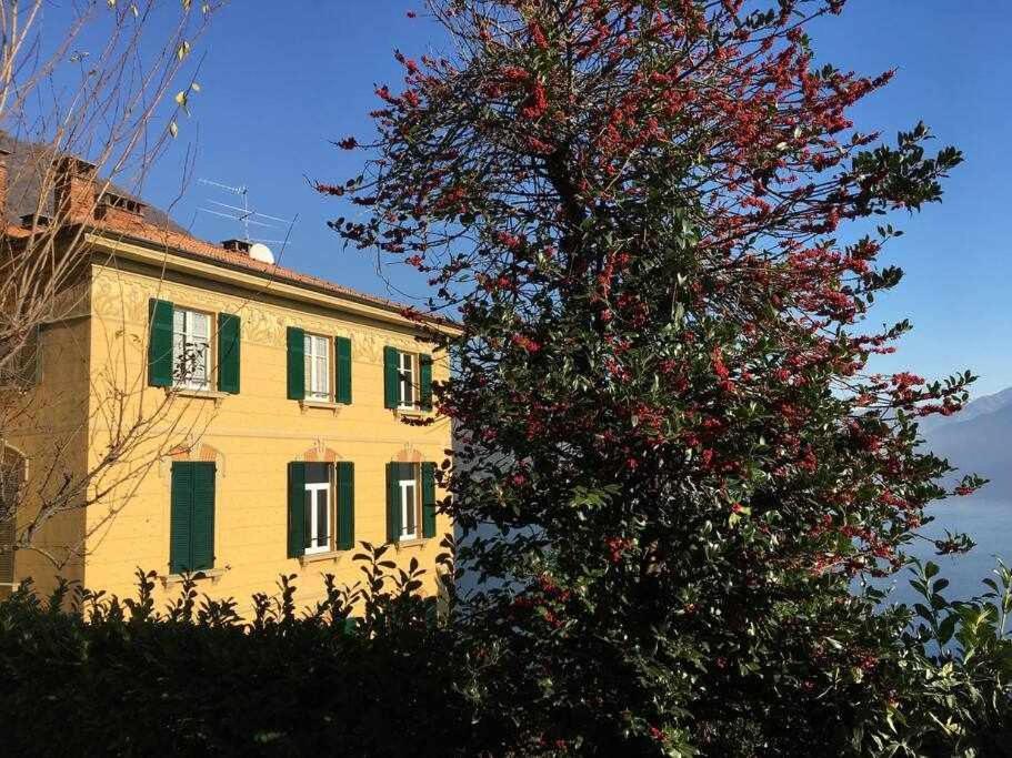 Villa Peroni Lake Como Classic With Swimming Pool Argegno Kültér fotó